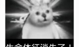 (黑暗光年传奇手游)暗黑传奇手游官网