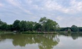 传奇三手游:《晨跑有悟：人生三手：本手、妙手和俗手》