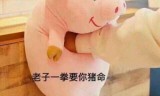 65535级传奇手游上线65535级超变传奇手游