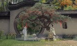 玉兔传奇手游下载185版本玉兔传奇手游