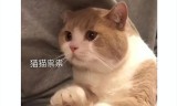 (传奇手游游戏招托平台)小瓜游戏传奇手游
