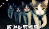 (传奇4手游什么时候公测)手游烈焰传奇什么时候公测