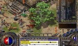 (新开传奇最大网站999)传奇私服发布网站