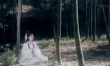 玉兔皓月传奇手游版下载玉兔超变传奇手游