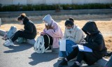 迷失传奇手游网站单职业迷失传奇手游官网
