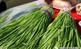 传奇类手机游戏:美杜莎传奇：盘点现在传奇类手游的套路