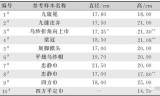 2021新开首服传奇手游2021年新开传奇手游