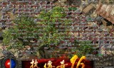 绿色传奇手游绿色传奇手游不花钱能玩吗