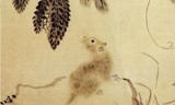 神龙玉兔传奇手游185玉兔传奇手游
