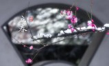 冰风传奇手游小冰冰传奇手游