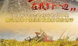 (手游传奇网站999服)336传奇手游
