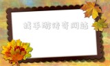 (最新传奇手游网站)找手游传奇网站