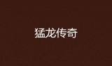 (nba传奇之战手游)猛龙传奇手游