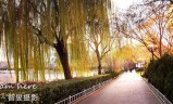(都市传奇之风流医圣)都市传奇手游